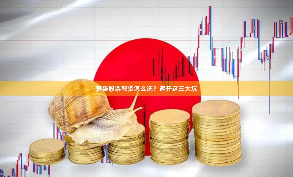 楚雄股票配资怎么选？避开这三大坑